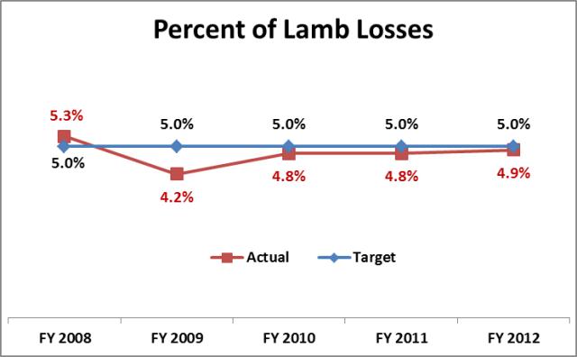  lamb loss 